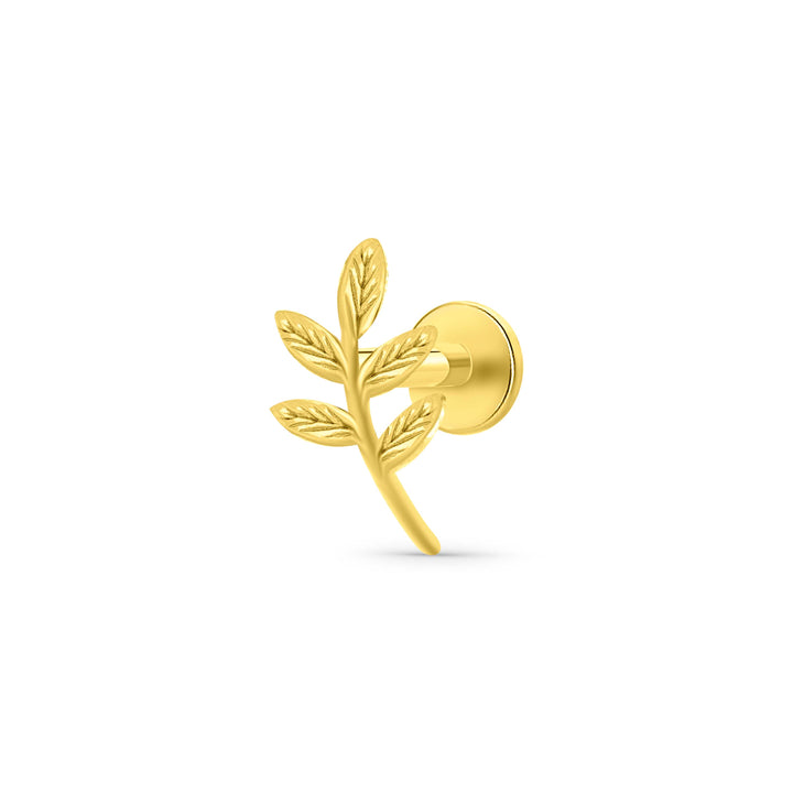 עגיל פירסינג לברט צמוד מזהב 14 קראט בעיצוב עלה